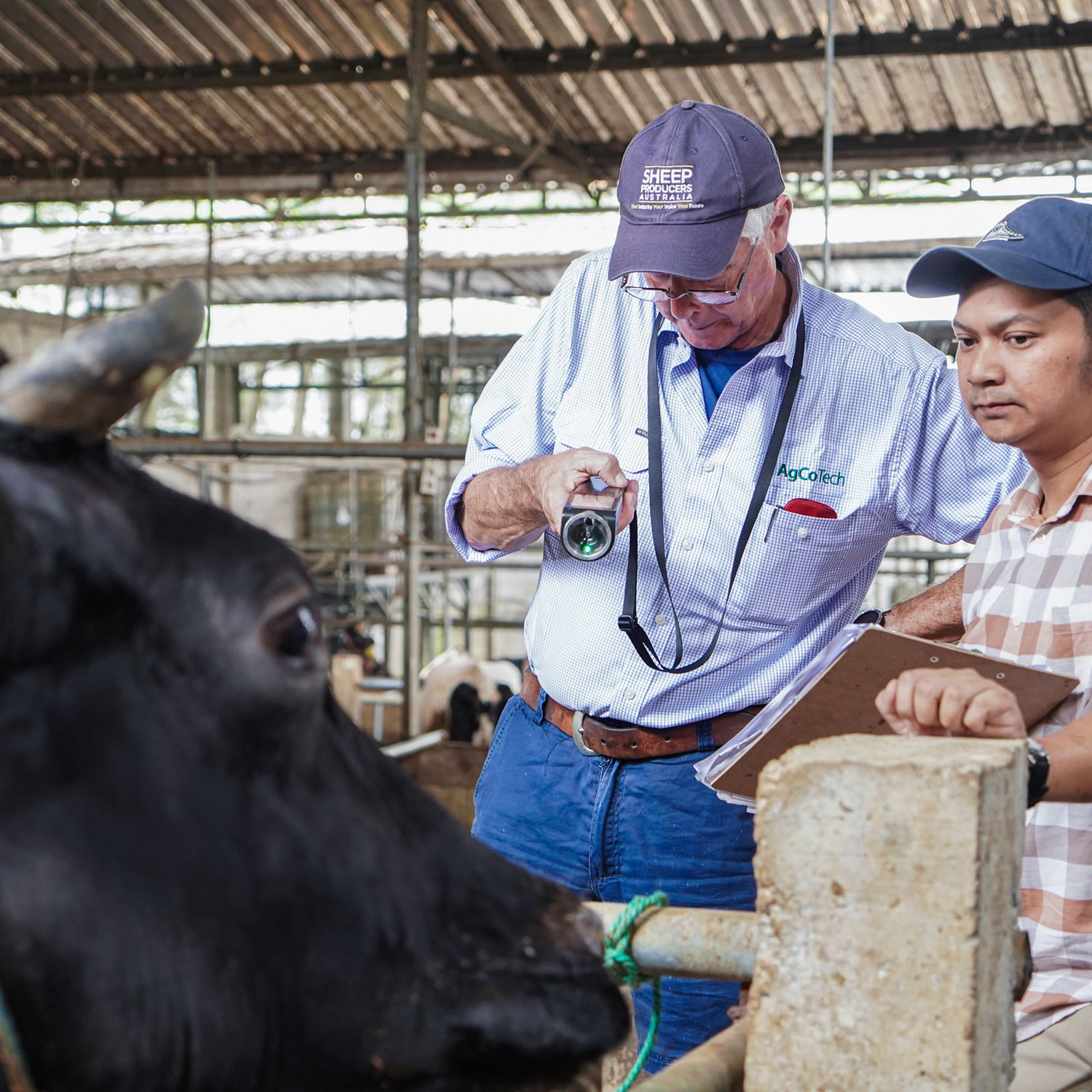 Emission Control Block for Cattle